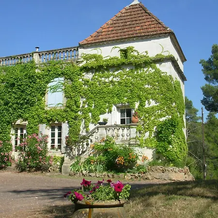 Sur Un Domaine Viticole En Agriculture Biologique *